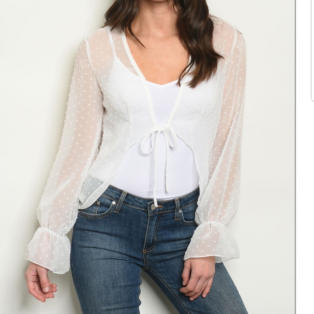 Bluemint Sheer ivory swiss dot tie closure top